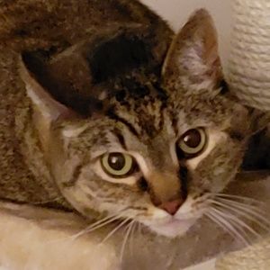 Meet your Posher, Cheryl